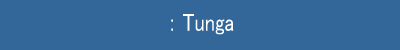 Tunga