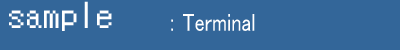 Terminal